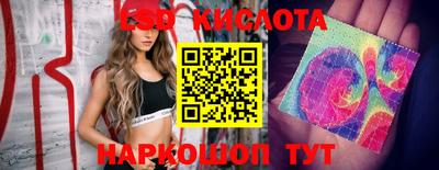 эйфоретик Шелехов
