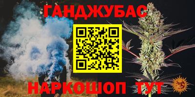 амф Шахты