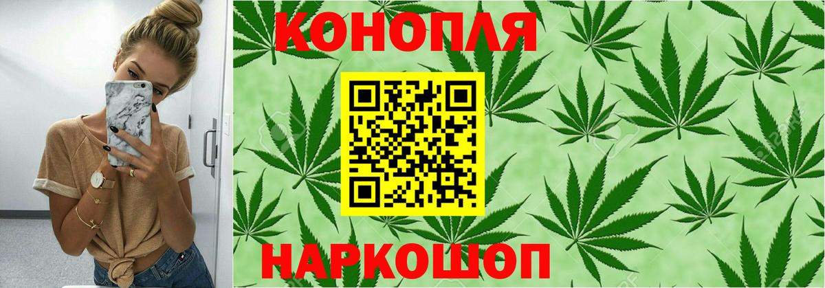 Марихуана ГИДРОПОН  Вход с VPN  Куйбышев  Конопля сатива  Конопля план 